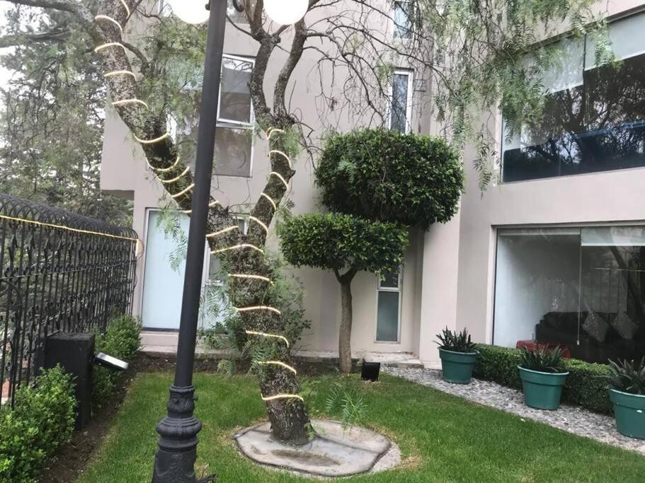 Hermoso Departamento En Bosques De Las Lomas Dos Habitaciones Mexikóváros Kültér fotó