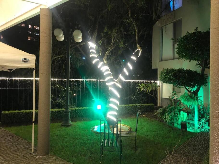 Hermoso Departamento En Bosques De Las Lomas Dos Habitaciones Mexikóváros Kültér fotó